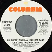 The Dudek Finnigan Krueger Band - Just Like the Weather