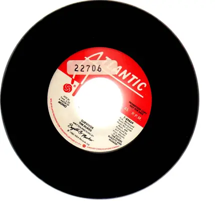 The Dukes - Survivor