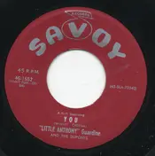 The Duponts - You / Must Be Falling In Love