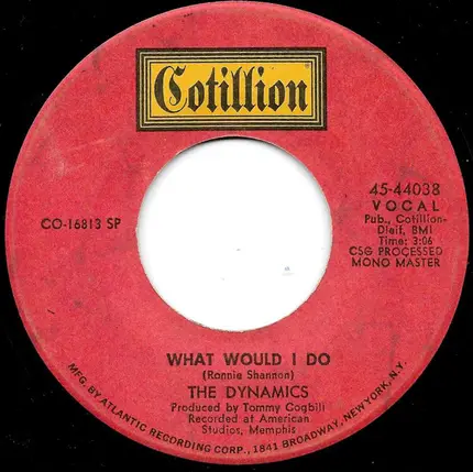 The Dynamics - Ain't No Love At All / What Would I Do