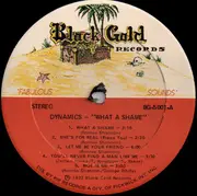 LP - The Dynamics - What A Shame