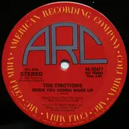 The Emotions - Turn It Out