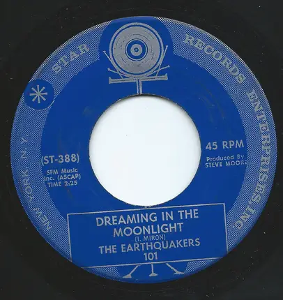 The Earthquakers - Whistlin' In The Sunshine