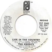 The Ebonys - Life In The Country