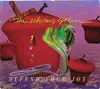 CD - The Echoing Green - Defend Your Joy - Cardboard Sleeve
