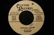 The Ecstasies - Dream Of A Lifetime / Chapel In The Moonlight