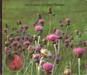 The Ecstasy of Saint Theresa - Free-D (Original Soundtrack)