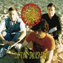 CD - The Eddies - In The Sunshine