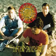 CD - The Eddies - In The Sunshine