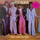 LP - The Elcados - What Ever You Need