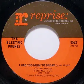 The Electric Prunes - I Had Too Much To Dream