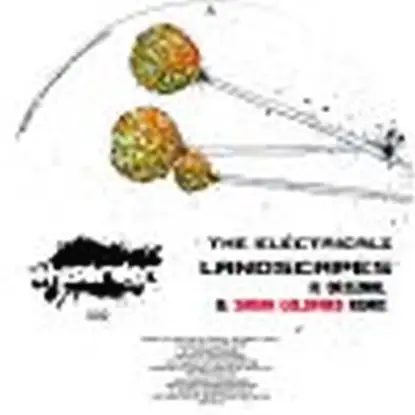 The Electricalz - Landscapes