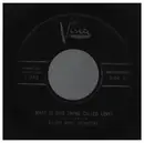 7inch Vinyl Single - The Elliott Brothers Orchestra - What Is This Thing Called Love? / Boo Bam Boogie