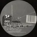 12inch Vinyl Single - The External - The Way Of Life - Company Sleeve.