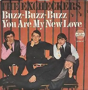 The Excheckers - Buzz-Buzz-Buzz / You Are My New Love