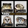 Double LP - The Four Owls - Nature's Greatest Mystery - Ltd Ed