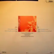 12inch Vinyl Single - The Fog - Been A Long Time