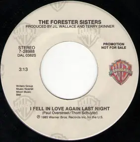 The Forester Sisters - I Fell In Love Again Last Night