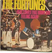 The Fortunes - Here Comes That Rainy Day Feeling