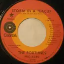 7inch Vinyl Single - The Fortunes - Storm In A Teacup