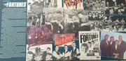 LP - The Fortunes - All The Hits And More