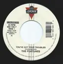 7inch Vinyl Single - The Fortunes - You've Got Your Troubles / Here It Comes Again