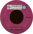 7inch Vinyl Single - The Fortunes - You've Got Your Troubles