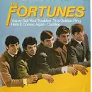 7inch Vinyl Single - The Fortunes - You've Got Your Troubles - Blue Inkjet Labels