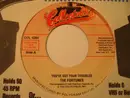7inch Vinyl Single - The Fortunes - You've Got Your Troubles