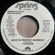 The Fatback Band - Love In Perfect Harmony