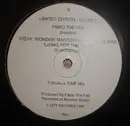 LP - The Fab presents Steve Mantovani & Daniele Mad DJ - Living For The City (Stevie Wonder)