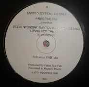 The Fab presents Steve Mantovani & Daniele Mad DJ - Living For The City (Stevie Wonder)