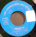 7inch Vinyl Single - The Fabulous Thunderbirds - Why Get Up / I Don't Care