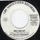 7inch Vinyl Single - The Fabulous Thunderbirds - Why Get Up