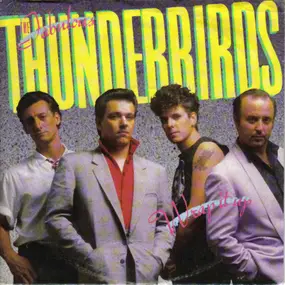 The Fabulous Thunderbirds - Wrap It Up