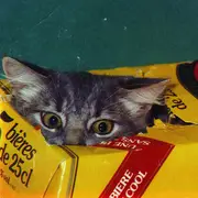 CD - The Fairweather Band - Meow