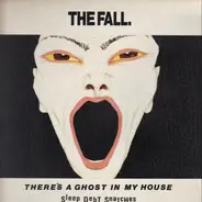 The Fall - There's A Ghost In My House