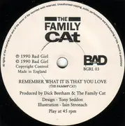 7inch Vinyl Single - The Family Cat - Remember What It Is That You Love - Numbered