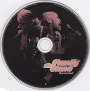 CD - The Family Stand - Connected