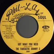 the fantastic johnny c - Got What You Need