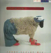 The Farm - Stepping Stone /  Family Of Man
