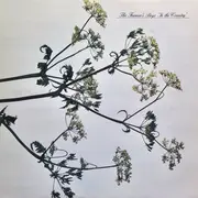 12inch Vinyl Single - The Farmer's Boys - In The Country