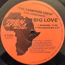 12inch Vinyl Single - The Farmyard Crew Feat. Constance - Big Love - Still Sealed