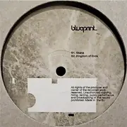 12inch Vinyl Single - The Fear Ratio - Skana