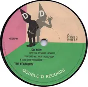 The Features - Go Now