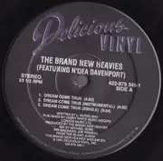 12'' - The Brand New Heavies  Featuring N'Dea Davenport - Dream Come True
