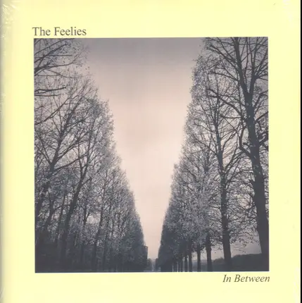 The Feelies - In Between