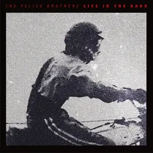 The Felice Brothers - Life in the Dark