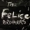 Double LP - The Felice Brothers - The Felice Brothers - 1st US pressing