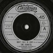 The Ferrets - Don't Fall In Love